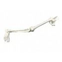 Squelette de jambe en plastique avec lame pelvienne