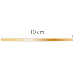 RUCK® NAGELKORREKTUR GOLDSTADT languettes de correction d'angles 4 pieces  100 mm