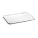 PLATEAU POUR INSTRUMENTS BLANC 300/190/17